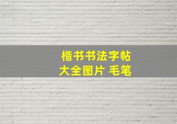 楷书书法字帖大全图片 毛笔